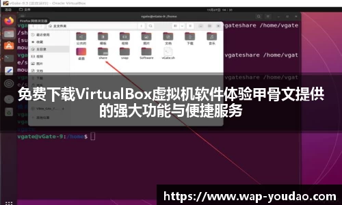 有道翻译软件